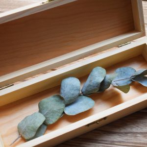 caja sois los siguientes