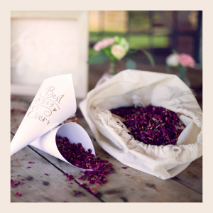 conos confeti best day