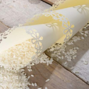 Salida de los Novios